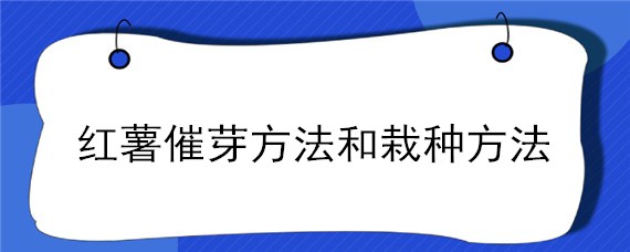 红薯催芽方法和栽种方法"