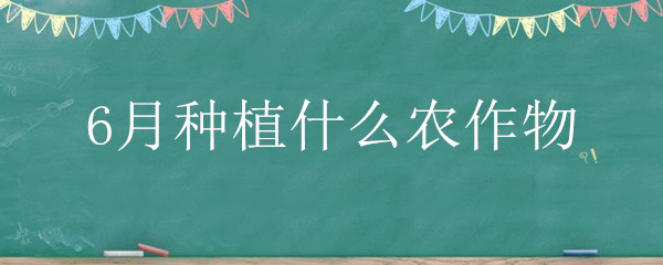 6月种植什么农作物"