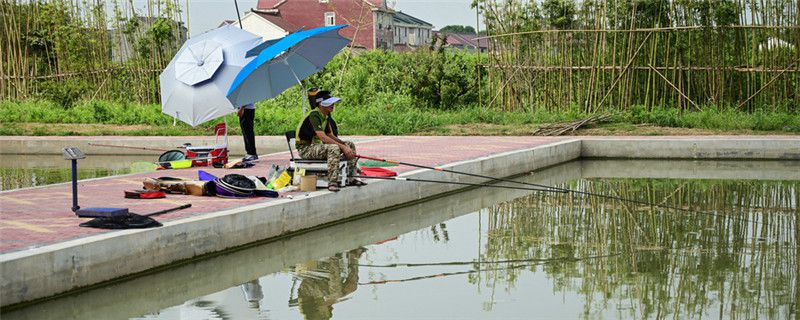 鱼塘钓鱼用什么鱼竿"