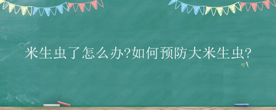 米生虫了怎么办?如何预防大米生虫?"