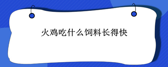 火鸡吃什么饲料长得快"